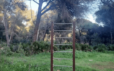 Circuito Deportivo La Sierrezuela