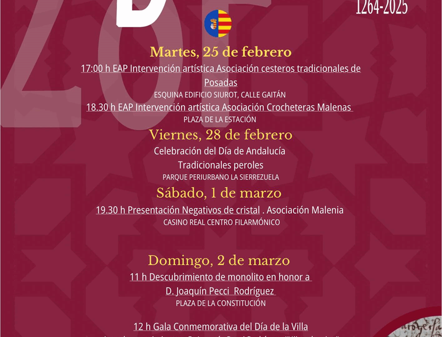 Día de la Villa 2025
