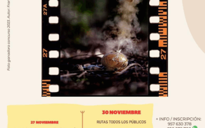 XX Jornadas Micológicas «Sierra de Posadas» 2024