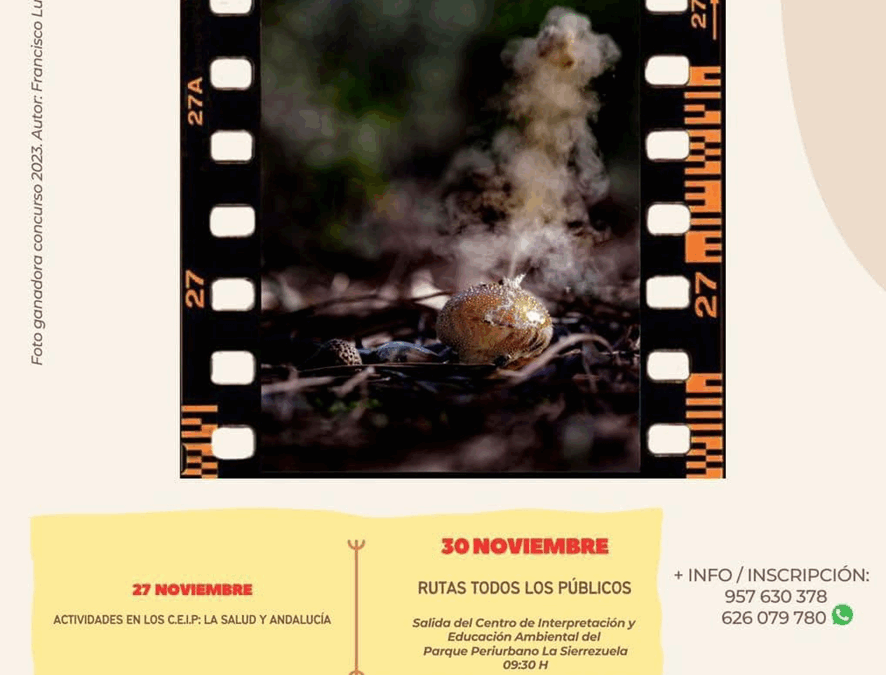 XX Jornadas Micológicas «Sierra de Posadas» 2024