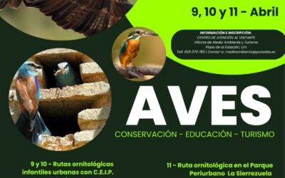 Posadas alza el vuelo: las XVI Jornadas Ornitológicas convierten el municipio en capital de las aves en Córdoba